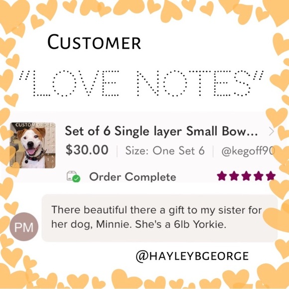 Pet Bowtie in a Green Christmas Holly - Picture 11 of 12